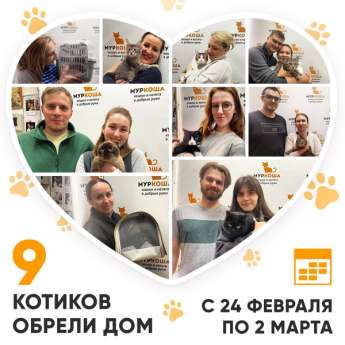 Итоги работы Центра с 24 февраля по 2 марта 2025г. 