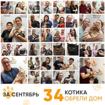 Итоги работы Центра в сентябре 2025 года.