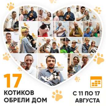 Итоги работы Центра с 11 по 17 августа 2025г.