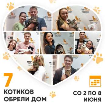 Итоги работы Центра с 2 по 8 июня 2025г.