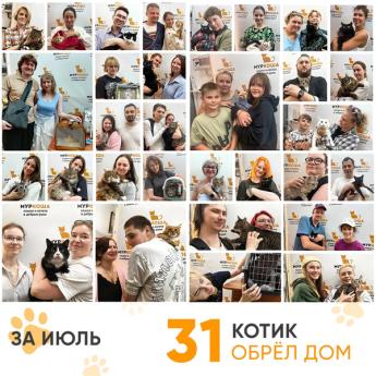Итоги работы Центра в июле 2026 года.