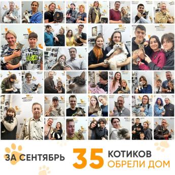 Итоги работы Центра в сентябре 2026 года.