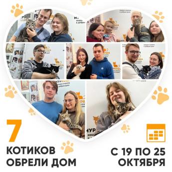 Итоги работы Центра с 19 по 25 октября 2026г. 