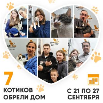 Итоги работы Центра с 21 по 27 сентября 2026г.