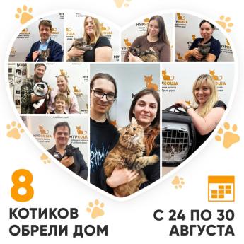Итоги работы нашего Центра со 24 по 30 августа 2026г. 