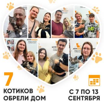 Итоги работы Центра с 7 по 13 сентября 2026г. 