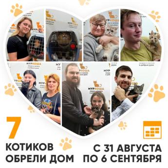 Итоги работы Центра с 31 августа по 6 сентября 2026г. 