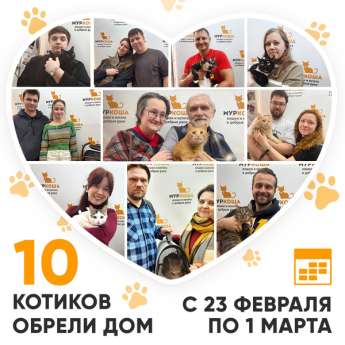 Итоги работы Центра с 23 февраля по 1 марта 2026г.
