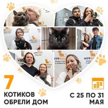 Итоги работы Центра с 25 по 31 мая 2026г. 