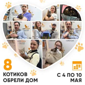 Итоги работы Центра с 4 по 10 мая 2026г.