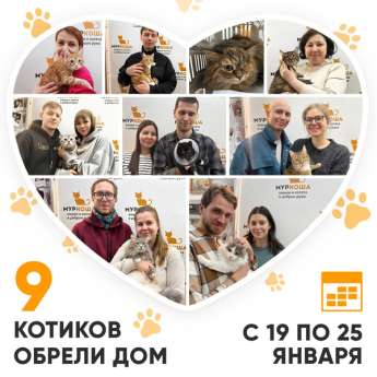 Итоги работы нашего Центра с 19 по 25 января 2026г.