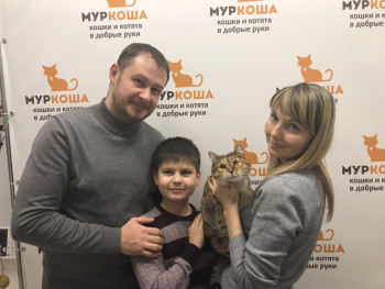 Знакомьтесь: красавица Молли и ее новая семья!