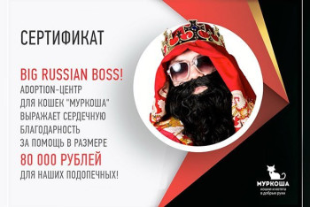 Классные парни любят котиков, согласны?