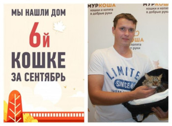 Счастливая домашняя жизнь начинается у кошки Настюши!