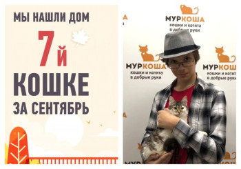 Мы помогли трехмесячной Аскорбинке познакомиться с хозяином за месяц!