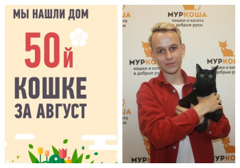 Спустя месяц в приюте уехала домой кошка Василиса!