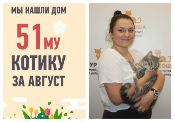 У уличного котика Тумана появилась любящая хозяйка!