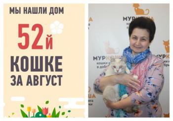 Менее, чем за два месяца, стала домашней роскошная Сесилия!