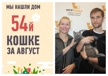 Не прошло и месяца, как восьмимесячная Дымка обрела свое счастье!