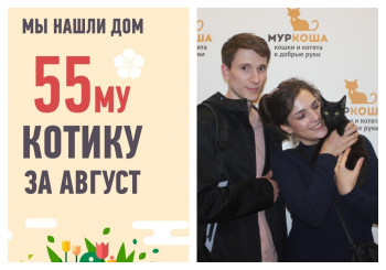 Трехмесячный Карбон уезжает домой!