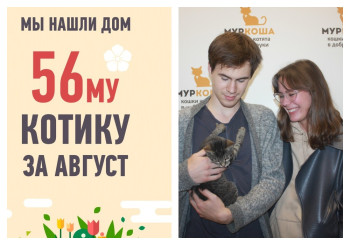 Чуть больше, чем за месяц, мы нашли хозяев для четырехмесячного Чарли!