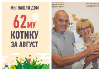 Котенок Дали стал домашним спустя три недели в приюте!