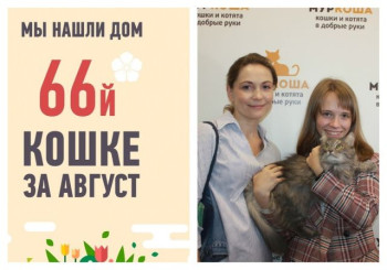 За трехлетней Монсти приехала любящая семья!