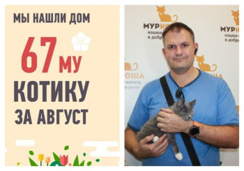 Слепой малыш Харисон встретил суперхозяина!