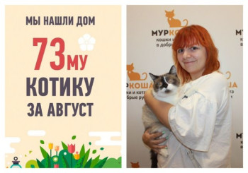 Красавчик Рокки стал домашним любимцем!