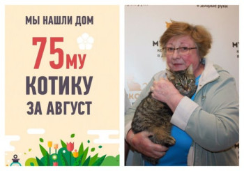 "Годовалый котик Шервуд становится ещё одним выпускником приюта! "