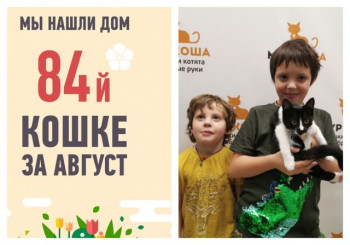 Уезжает домой малышка Бетти, найденная возле поликлиники!