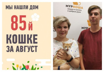 Трехмесячная Минутка отправляется в новый дом!