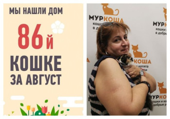 Спустя месяц свой дом появился и у малышки Царапки!