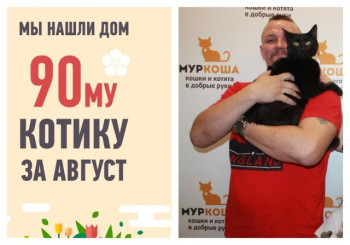 Девяностым августовским счастливчиком становится кот Данек!