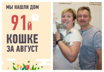 Кошка Нуна становится финальной выпускницей приюта в августе!