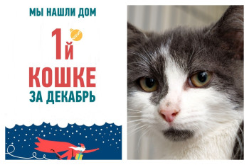 Открывает счастливый хит-парад выпускников декабря кошка Леонсия!