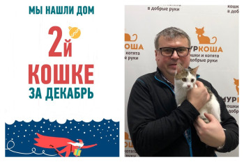 У пятимесячной кошки Уточки появился заботливый хозяин!