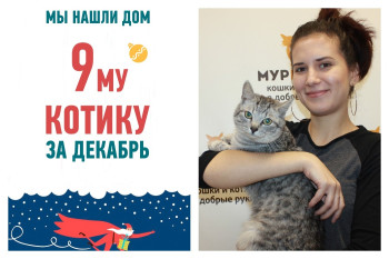Вторая попытка на счастье у двухлетнего котика Юпитера!