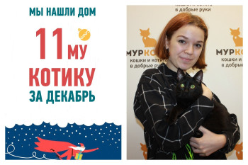 У семимесячного котика Раджеша появилась заботливая хозяйка!