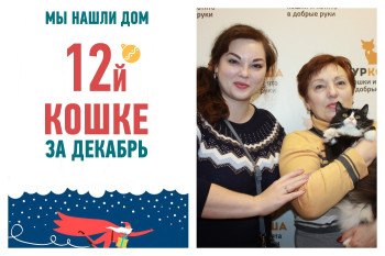 У трехлетней кошки Муфточки появилась любящая семья!