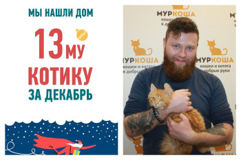 Особенный котенок Коралл рад познакомить вас со своим новым другом!