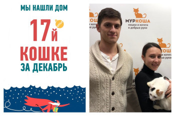 Вторая попытка на счастье у шестимесячной Златы!
