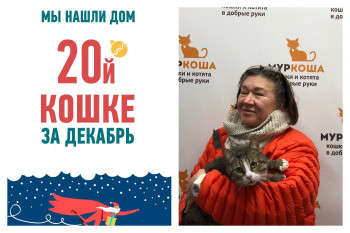 Пятилетний котик Мурзюша отправляется домой!
