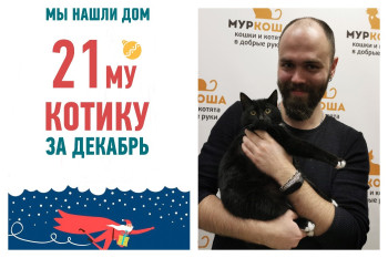 У котика Героя появился старший друг и уютный дом!
