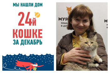 У кошки Наяды, брошенной в парке, появилась хозяйка!