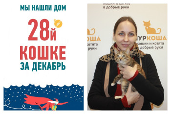 Котенок Амира стала домашней всего за три недели!