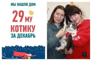 Плюшевый котик Арсений встретил любящее сердце!