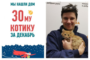 Старший друг и заботливый хозяин появился у котенка Петуса!