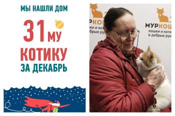 Четырехлетний котик Рыжемир снова стал домашним!