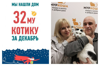 Котик Федосей спешит познакомить вас со своей новой семьей!